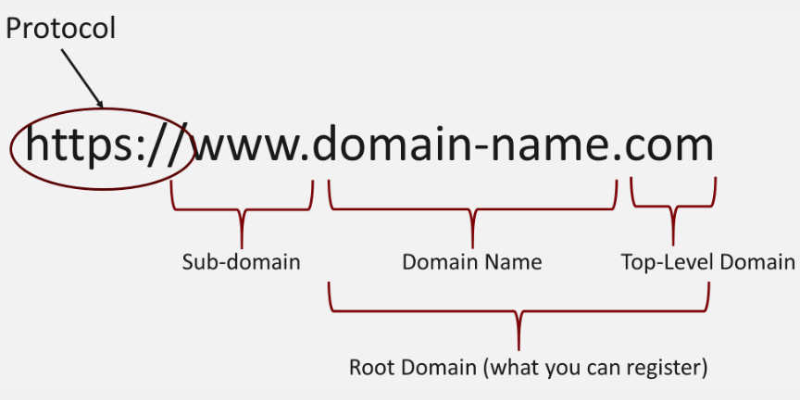 Cấu tạo của Domain là gì?